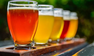 bier proeverij organiseren