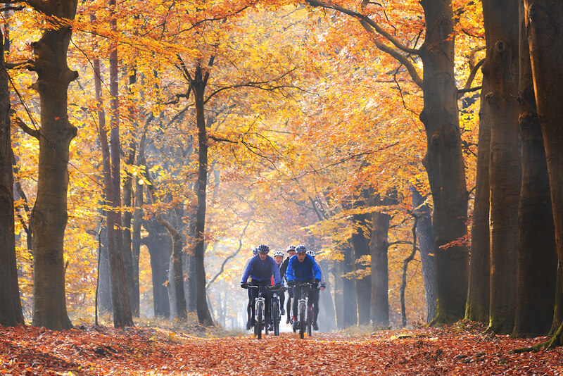 De beste mountainbike routes van Nederland Menfacts
