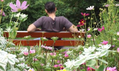 man op tuinbankje