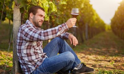 gezondheidsvoordelen wijn