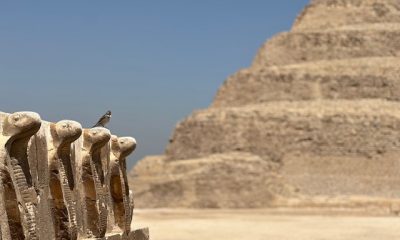 mooiste bezienswaaridgheden van sakkara